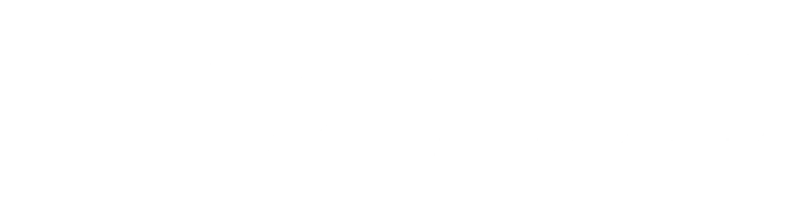 Magna Investment